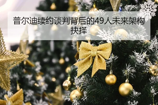 pu-er-di-xu-yue-tan-pan-bei-hou-de-ren-wei-lai-jia-gou-jue-ze-2-607.jpg
